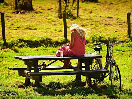 Aire de pique-nique du parc du Château