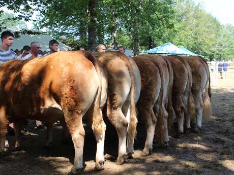 Comice Agricole Estival Interdépartemental