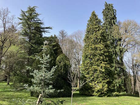 Découverte de l'arboretum du Château de Montautre