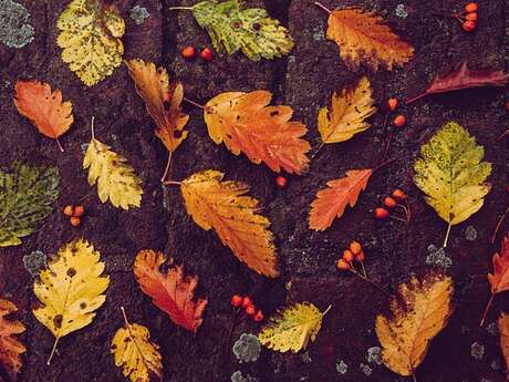 Grande Foire annuelle d'Automne