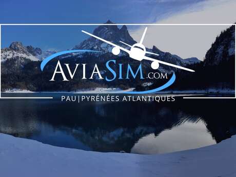 AviaSim : simulateur de vol