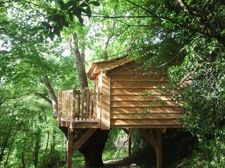 Cabanes perchées dans les arbres