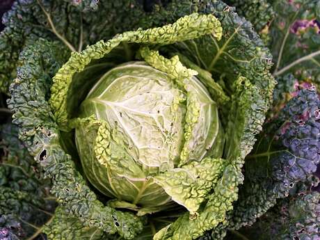 Pont du Garrit: AG et Choucroute