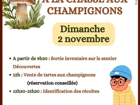 A la chasse aux champignons