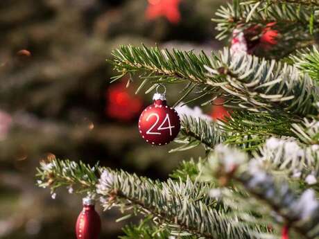 Venez décorer le sapin de noël
