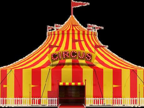 Sortie au cirque Arlette Gruss