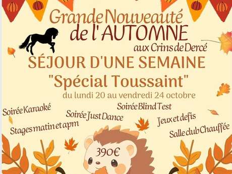 Séjour d'une semaine "Spécial Toussaint"