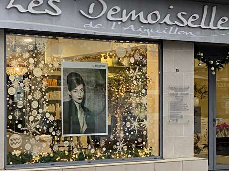 Les demoiselles de l'Aiguillon