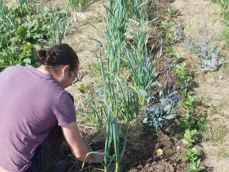 Stage week-end Permaculture