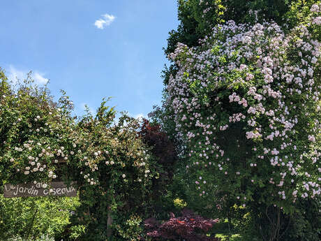 Le Jardin aux Oiseaux