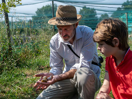 Méli-Mélo d'escargots