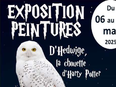 Expo peinture d’Hedwige, la chouette d’Harry Potter