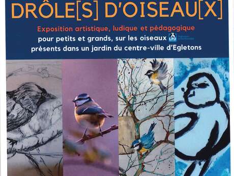 Exposition Drôles d'oiseaux