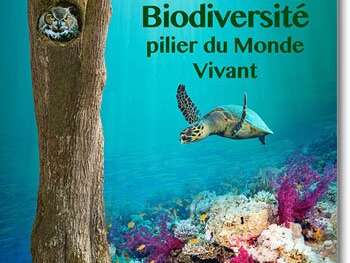 Exposition Biodiversité, pilier du monde vivant