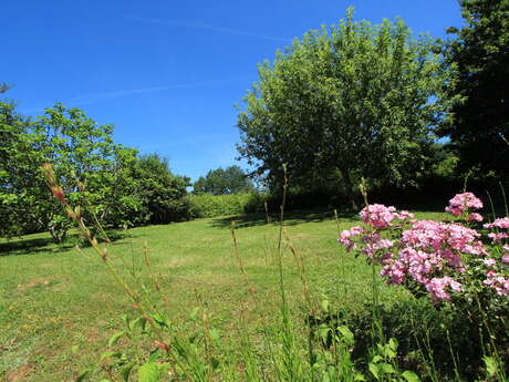 Domaine Lou Peyrol - Gîte Bombay