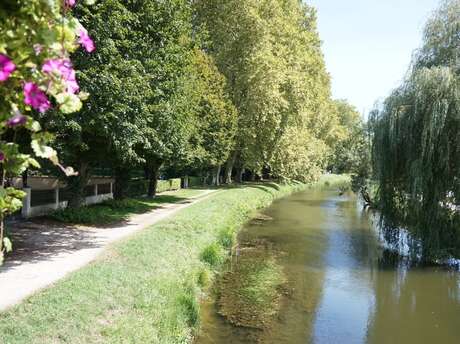 Fête du canal | Grand pavois