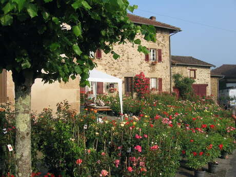 Fête de la Rose
