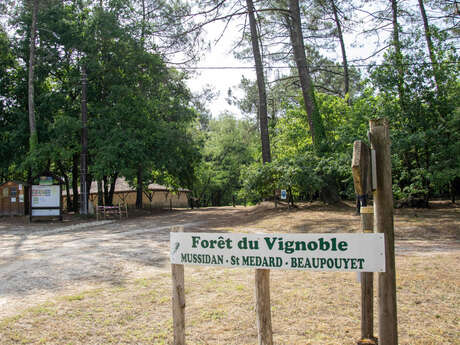 La Forêt du Vignoble