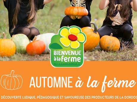 automne a la ferme