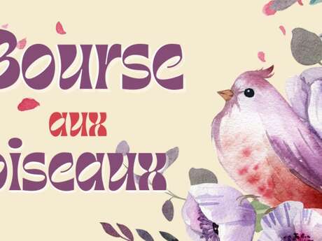 Bourse aux oiseaux