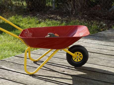 Atelier : Petit jardinier en herbe