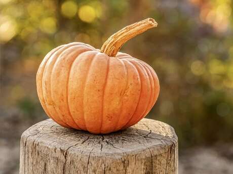 Soirée Halloween