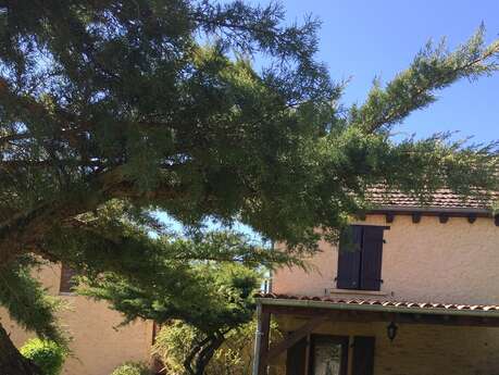 Lapervoisie 1 jardin  piscine et proche de Sarlat