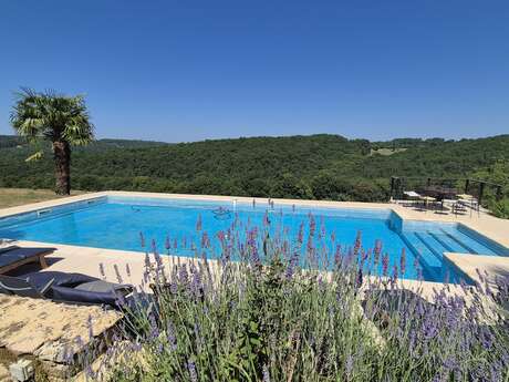 Gîte Amitié avec piscine et clim proche Sarlat