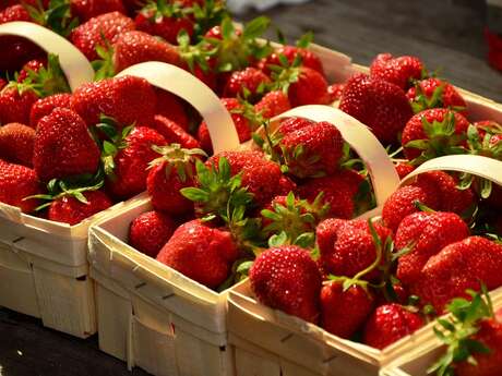 Marché aux fraises