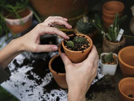 Atelier bricolage et jardin au Mathusalem