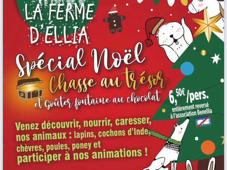Animations de Noel à la Ferme d'Ellia