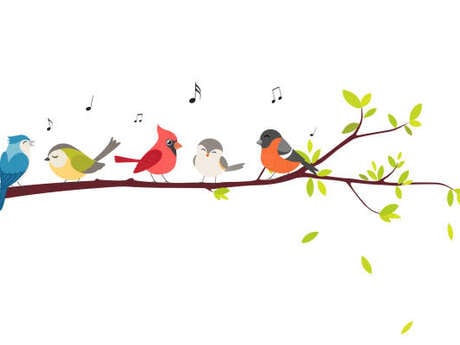 Fête des oiseaux