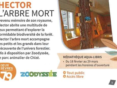 MEDIATHEQUE : Hector l'arbre mort