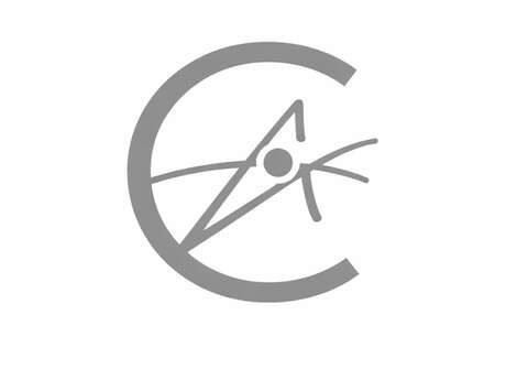 Le Cours des Arts atelier galerie