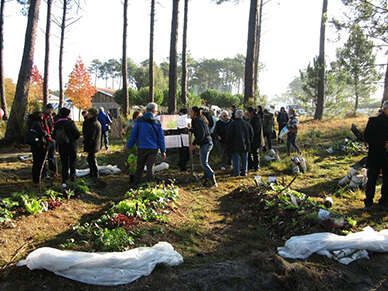 Ateliers de permaculture