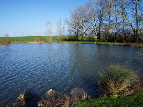 Plan d'eau "Beausoleil"
