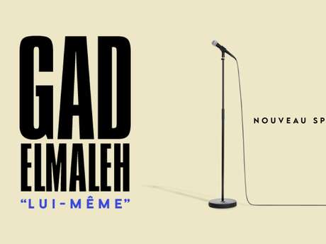 Gad Elmaleh, "Lui-même" - Limoges