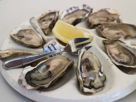 Soirée Fruits de mer à Saint-Michel l'Ecluse et Léparon