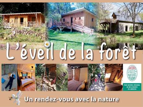 L'éveil de la Forêt - le gîte du Moulin