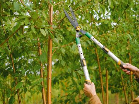 Freddy Duvignacq Entretien jardins