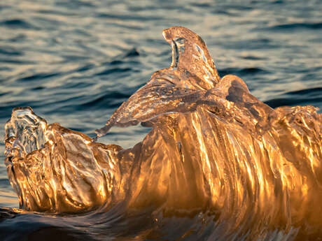 Exposition Francktastick Photographe