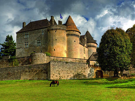 Château de Fénelon