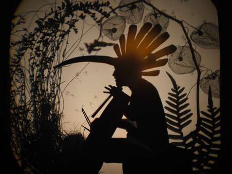 Odyssée - VOLATILE OMBRE