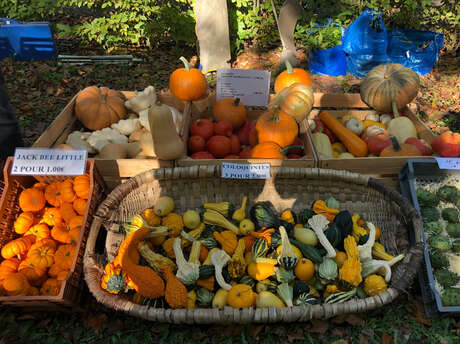 Foire aux potirons
