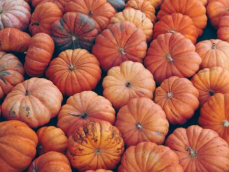 Bal d'halloween / Concours de Citrouille