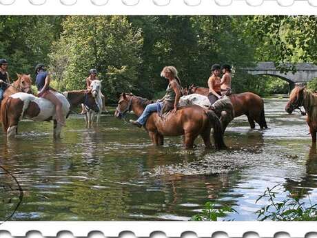 Ferme équestre HIPPOCAMP'