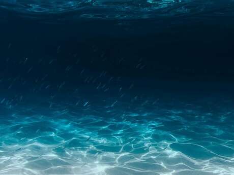 Ciné-débat : Voyage au centre de la mer