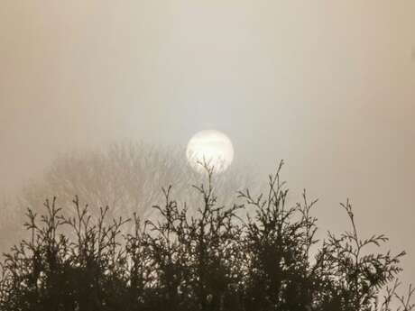 Cérémonie du passage du solstice