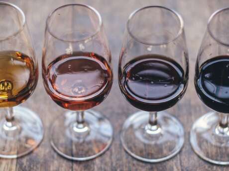 Chai Bordin - Dégustation de vins