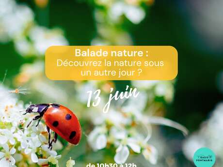 BALADE NATURE : ET SI VOUS DÉCOUVRIEZ LA NATURE SOUS UN AUTRE JOUR ?
